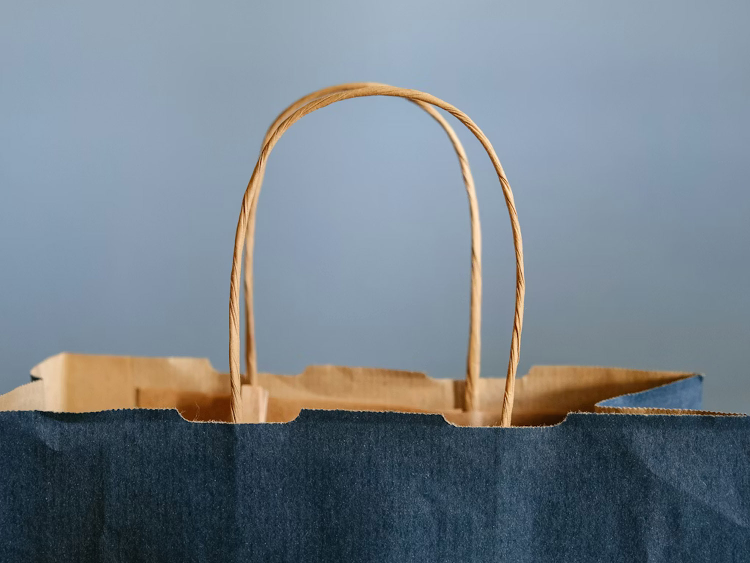 La importancia de elegir una empresa con experiencia en bolsas para comercios